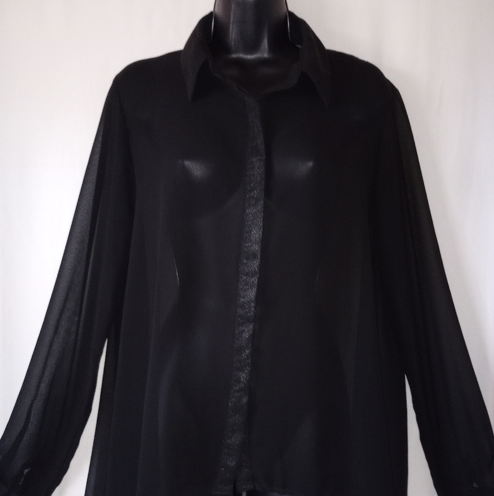 Dizzy Lizzy Long Sleeve Sheer Top